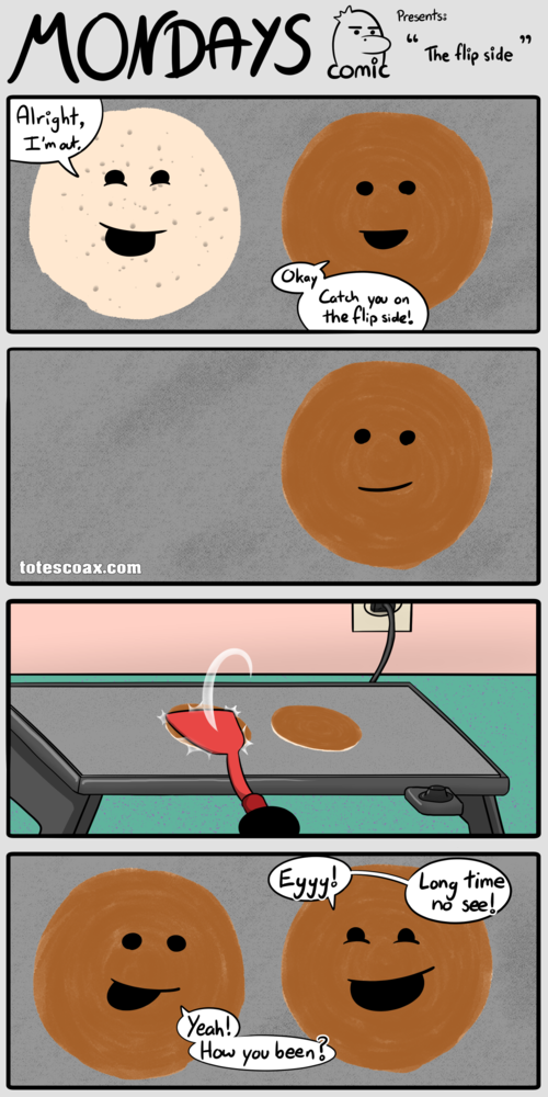 The Flip Side - Web Comics