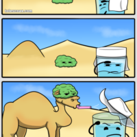 Camelflague - web comics